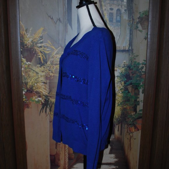 Christopher & Banks Sapphire Blue, Sequin Stripe Sweater - PXL - Picture 4 of 10